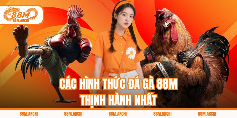 Các Hình Thức Đá Gà 88M Thịnh Hành Nhất