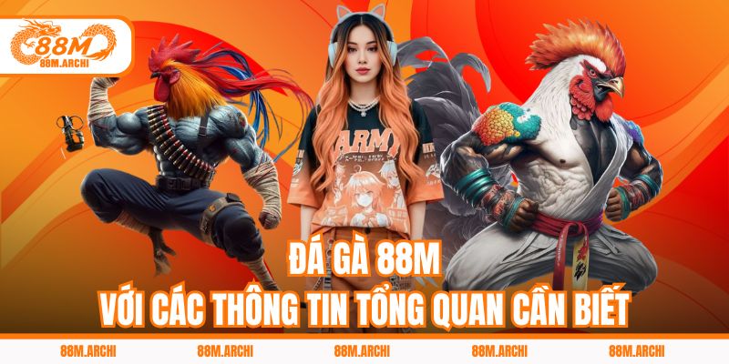 Đá Gà 88M Với Các Thông Tin Tổng Quan Cần Biết