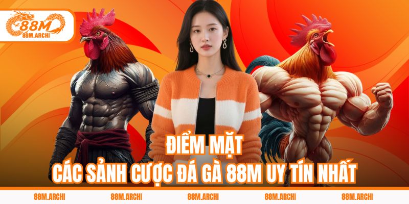 Điểm Mặt Các Sảnh Cược Đá Gà 88M Uy Tín Nhất